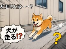 工事初心者 必見！　コンクリート施工で使用する工事用語集 ①　犬走りとは？役割や由来、種類を解説！