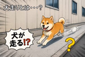 工事初心者 必見！　コンクリート施工で使用する工事用語集 ①　犬走りとは？役割や由来、種類を解説！